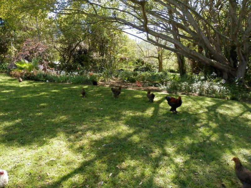 Braeside Guest House (Adults Only) Swellendam Exterior foto
